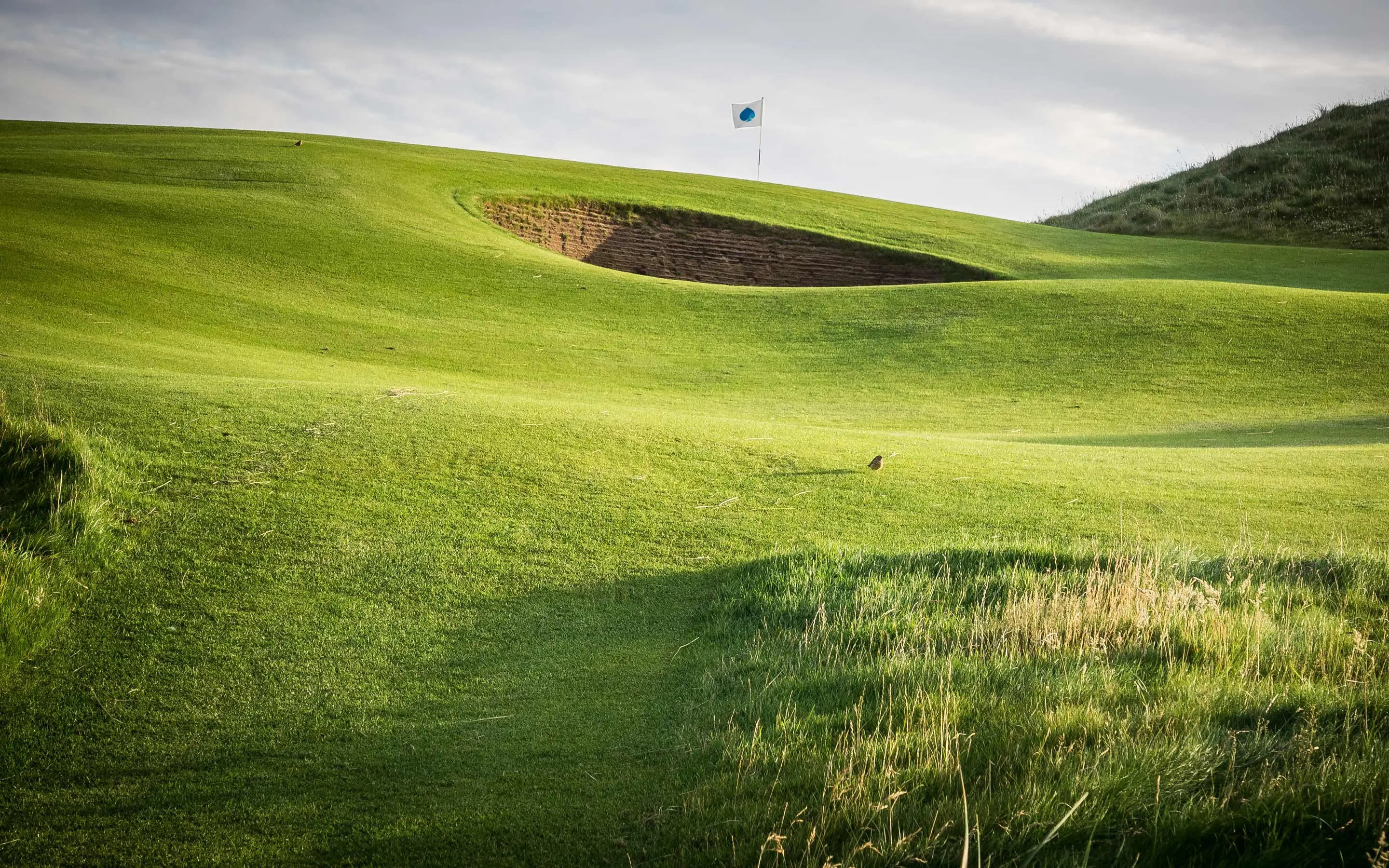 How IQ delivers the excitement of Ryder Cup to billions