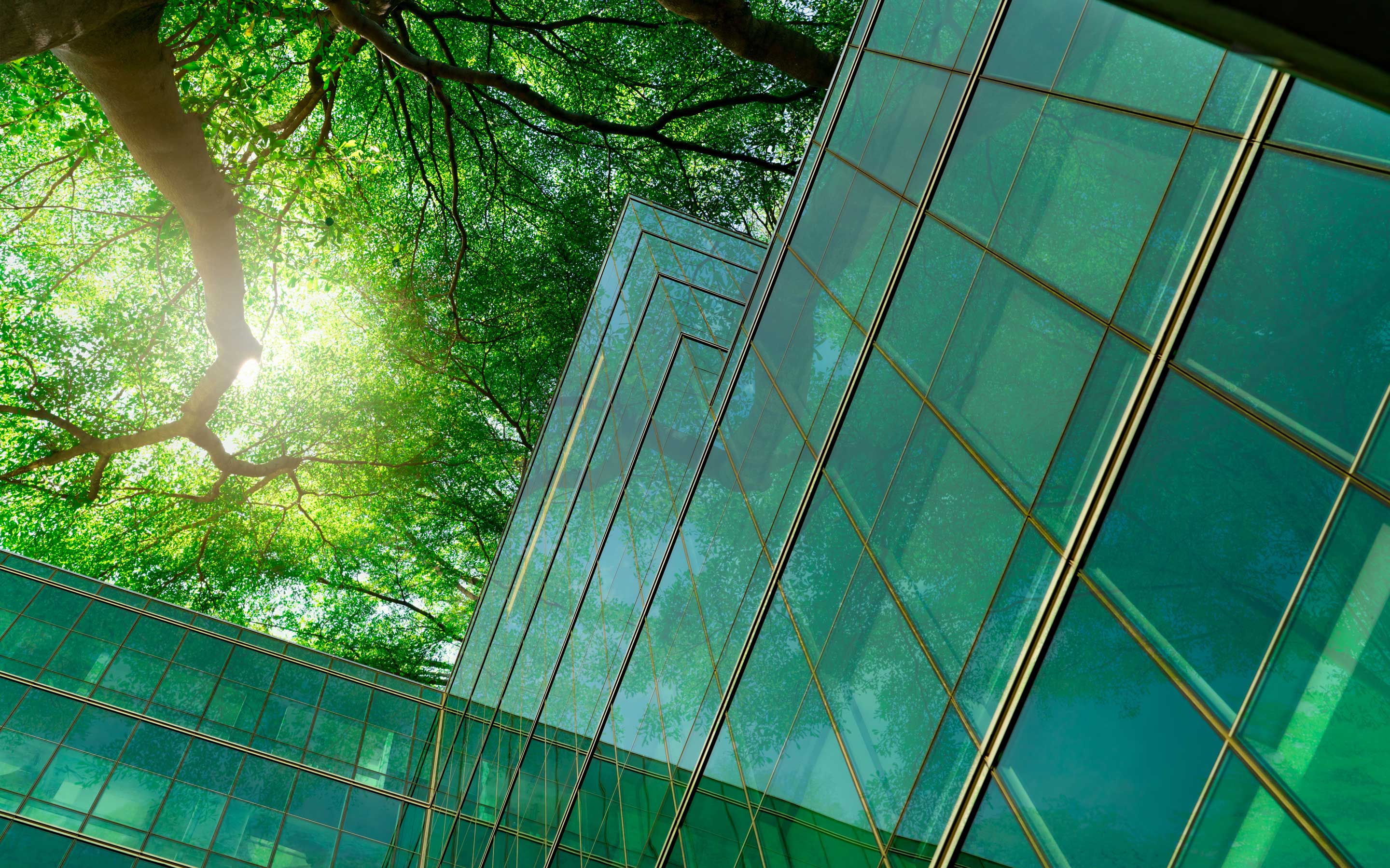 Green Core with SAP - Capgemini Australia