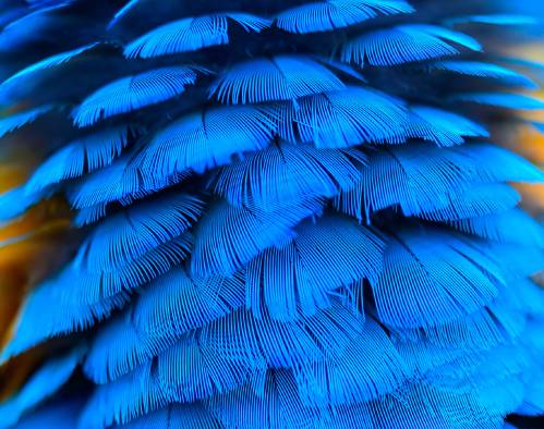 ÍNDICE-DE-MATURIDADE-DE-OPEN-FINANCE-BRASIL-2024-HERO