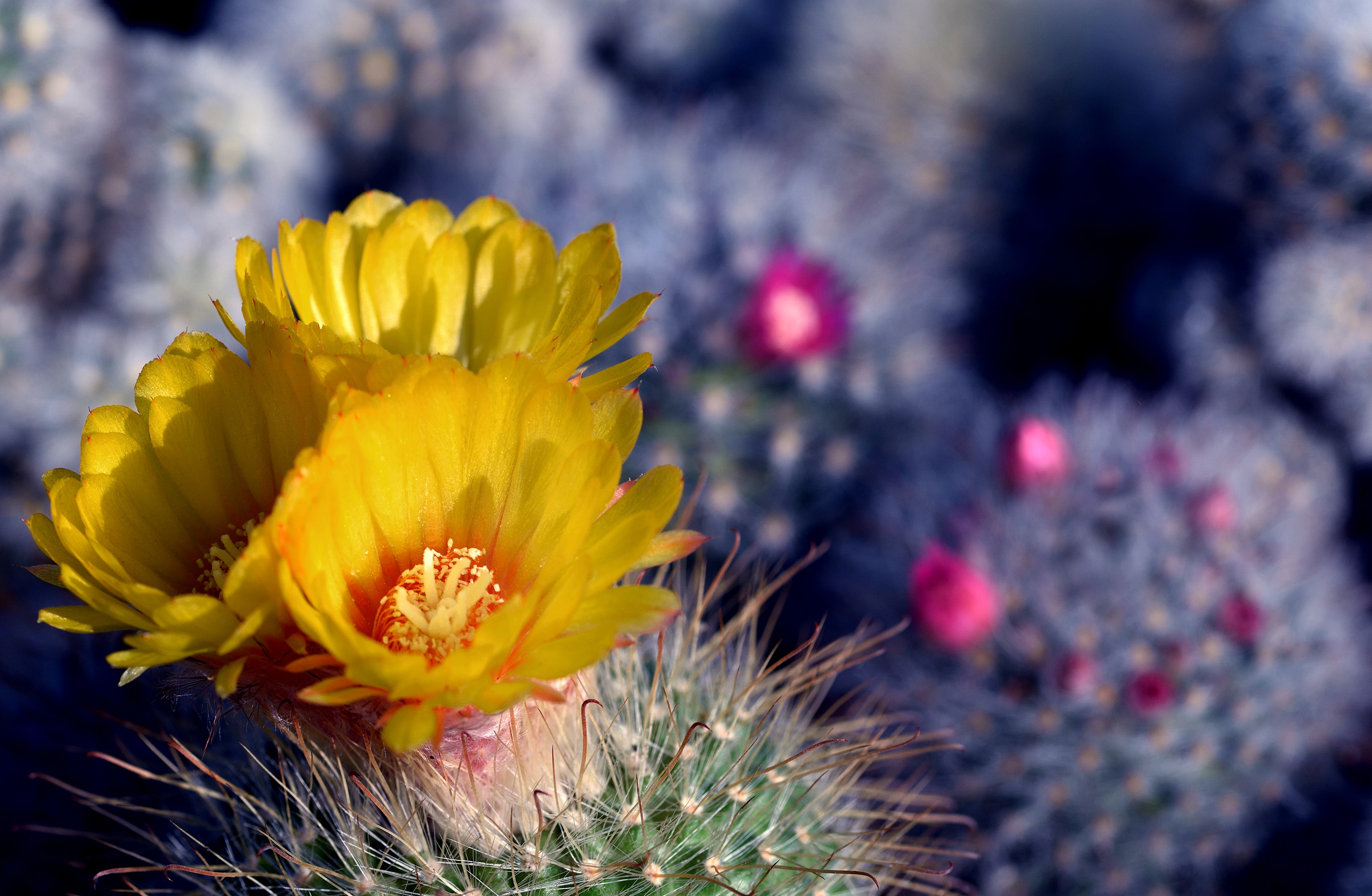 AI-powered Cybersecurity for Telecom hero banner