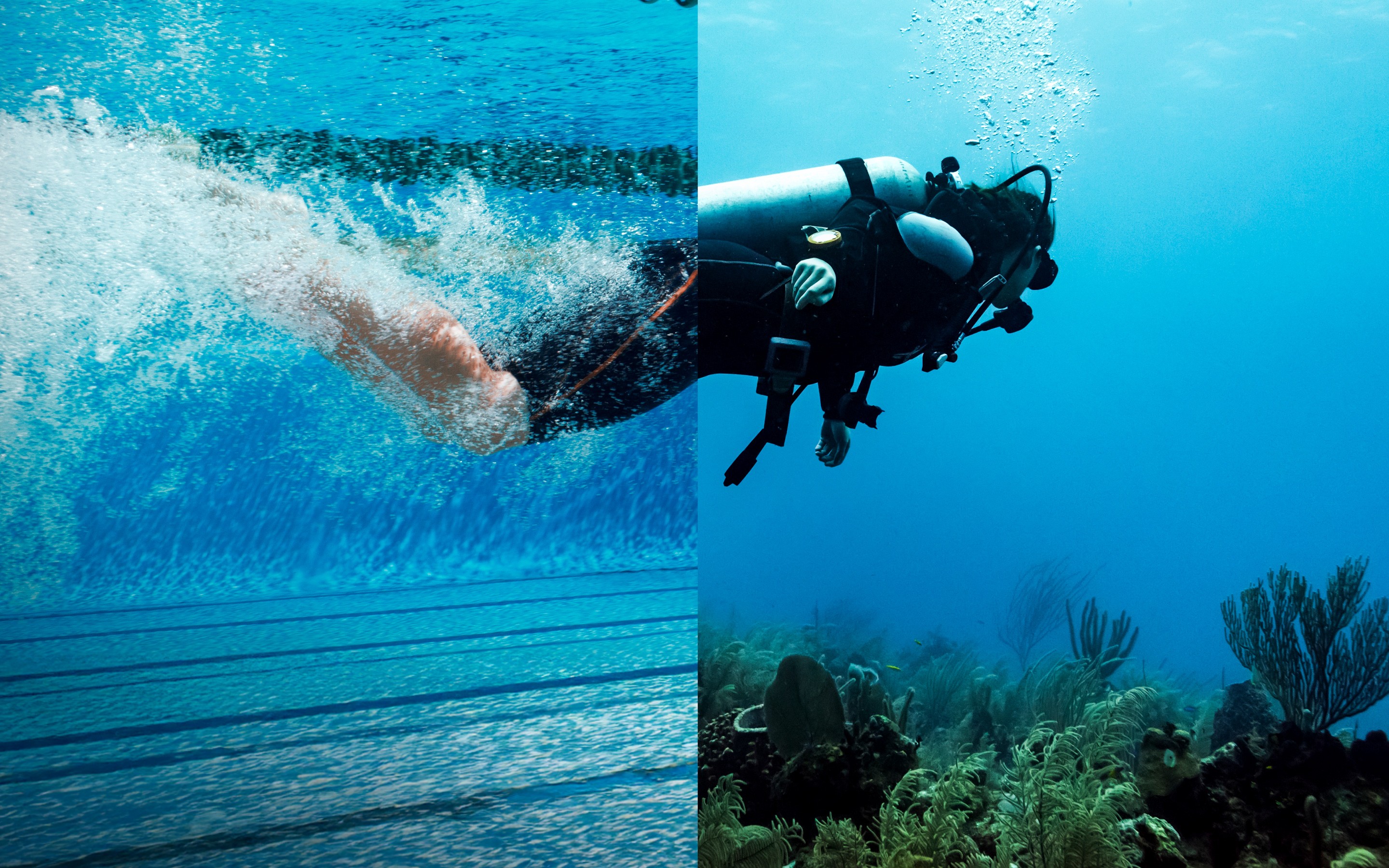 Gen AI: Turn belief into reality with Capgemini and Microsoft 365 banner image