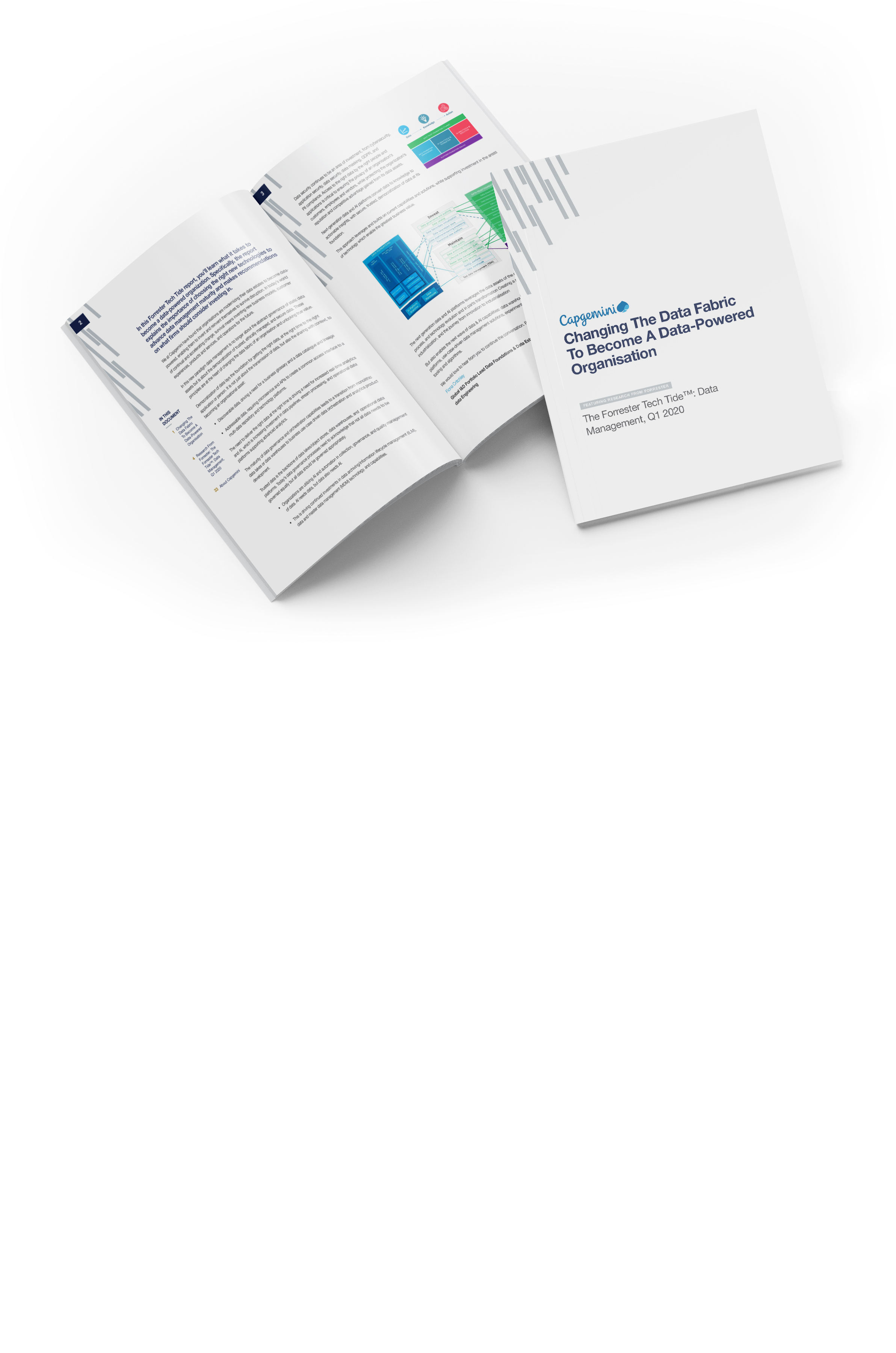 Data Estate Modernization- Forrester Report