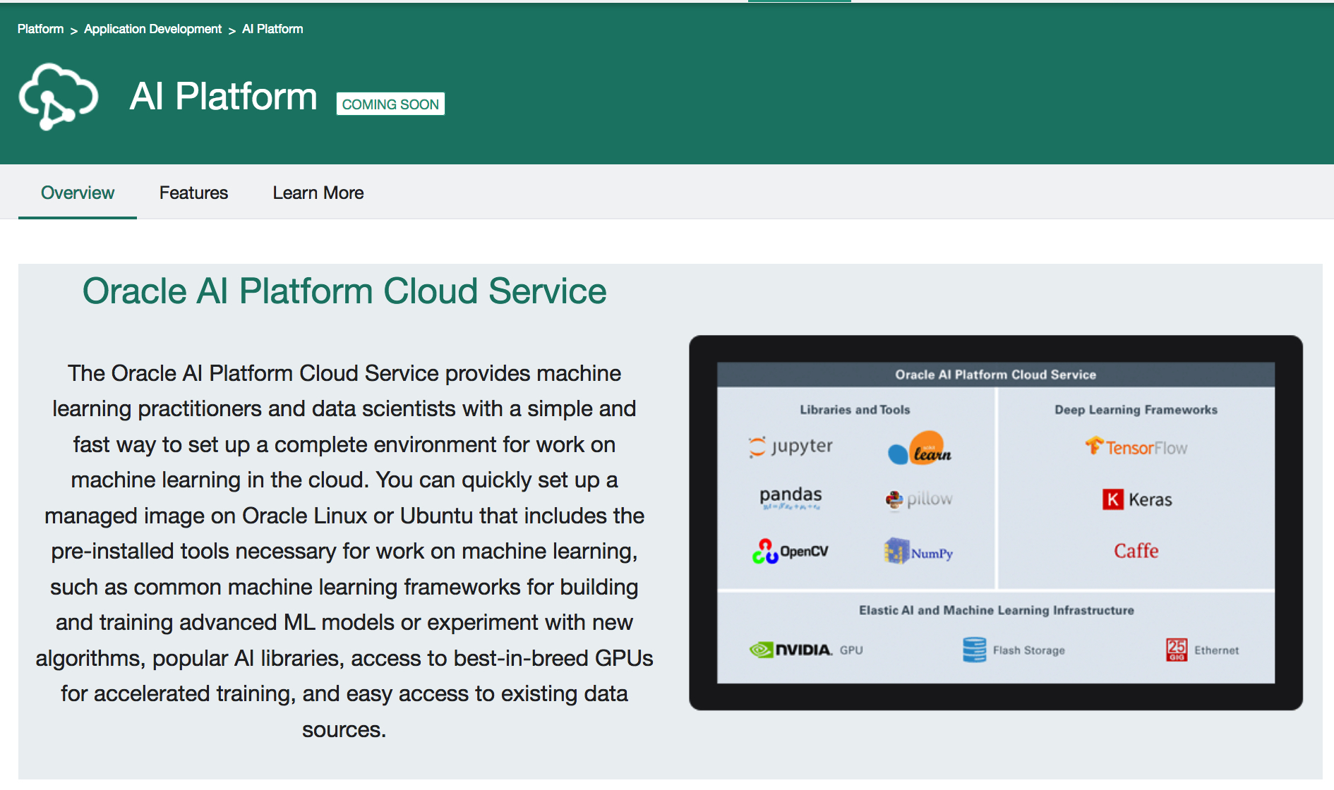deep learning oracle