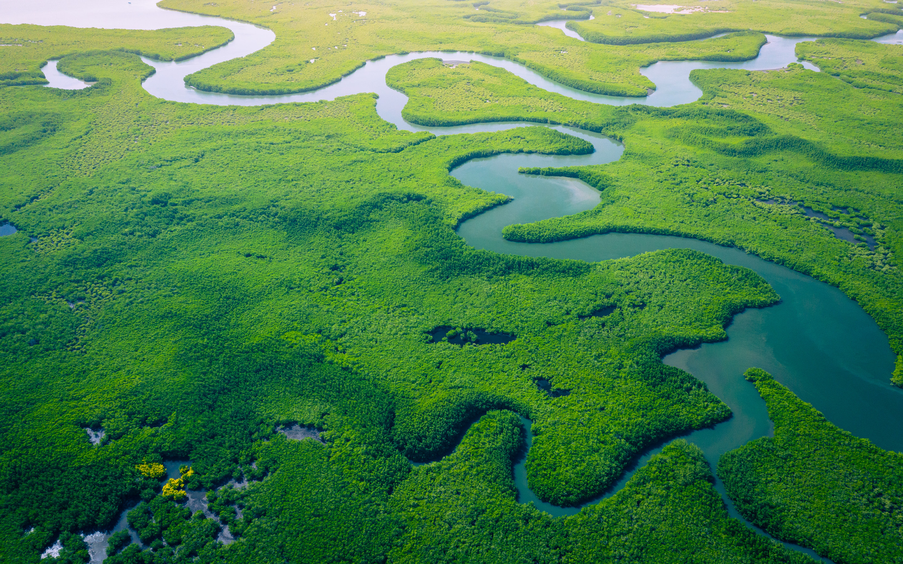 Capgemini-ads-Sustainable-product-design-seminar-banner