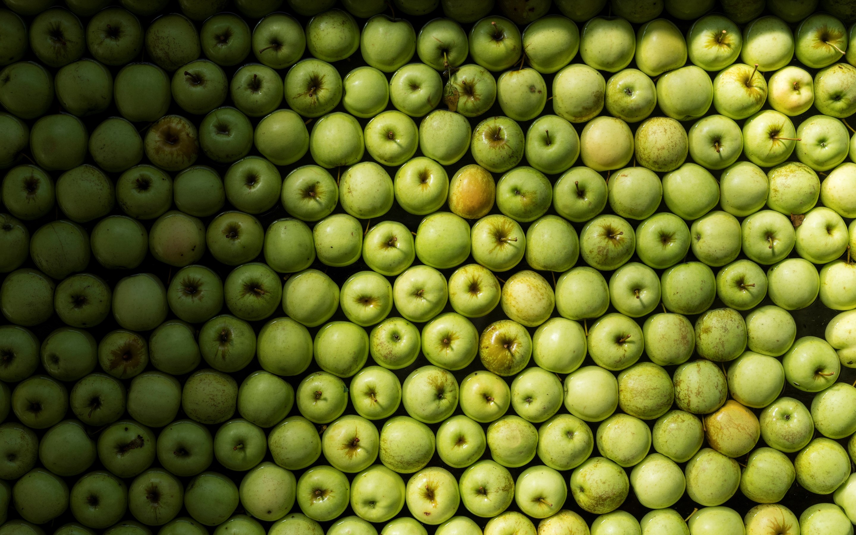 Food waste reduction solutions for retail