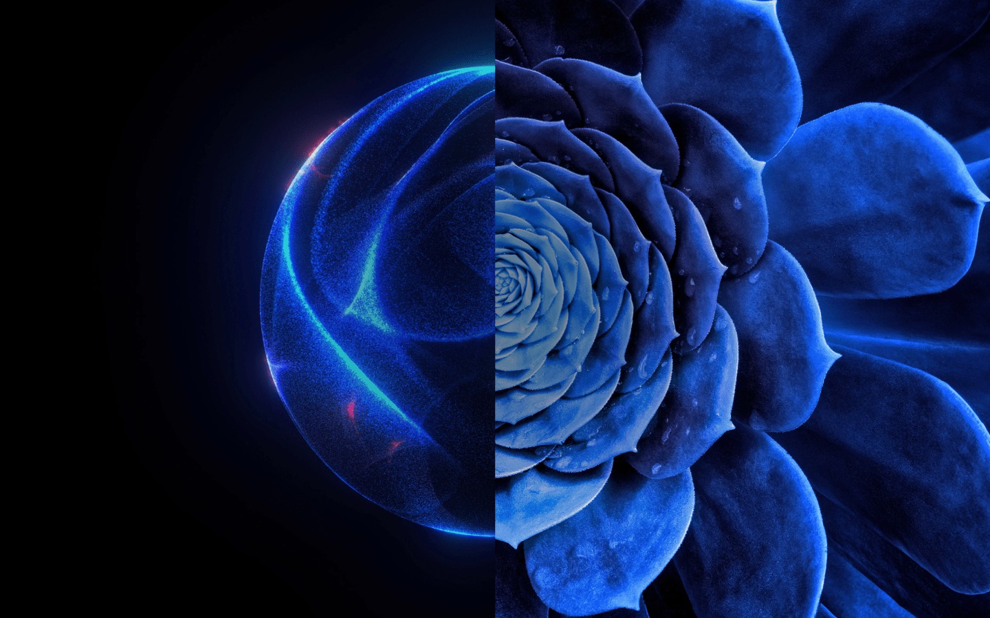 Adobe Summit 2024 Capgemini