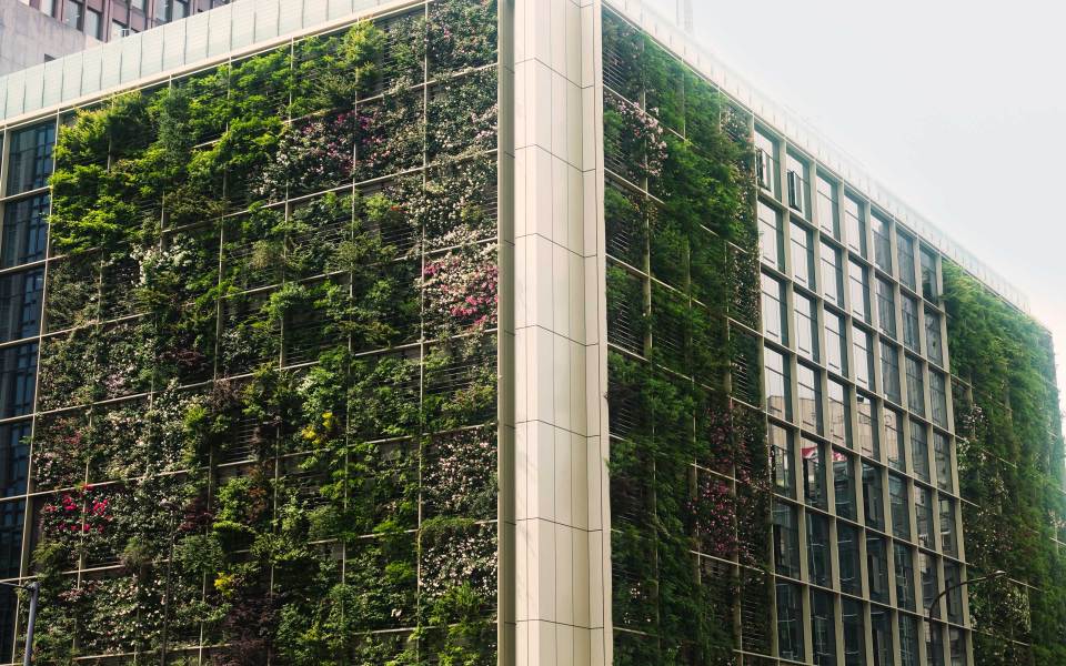 Accelerate to net zero, from commitment to sustainable results