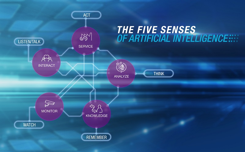 the_five_senses