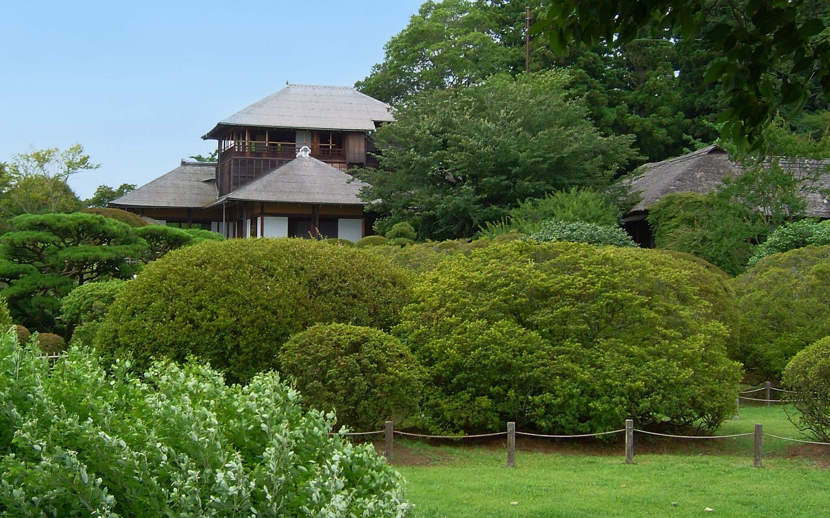 Government staff using RPA tools to automate administrative tasks and improve efficiency.