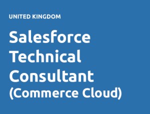 Salesforce Technical Consultant (Commerce Cloud)