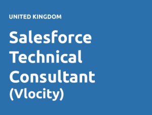 Salesforce Technical Consultant (Vlocity)