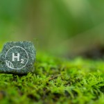 Unveiling the Potential: The Growing Role of Hydrogen in the Global Energy Transition