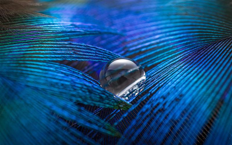 Anglian-Water-transforms