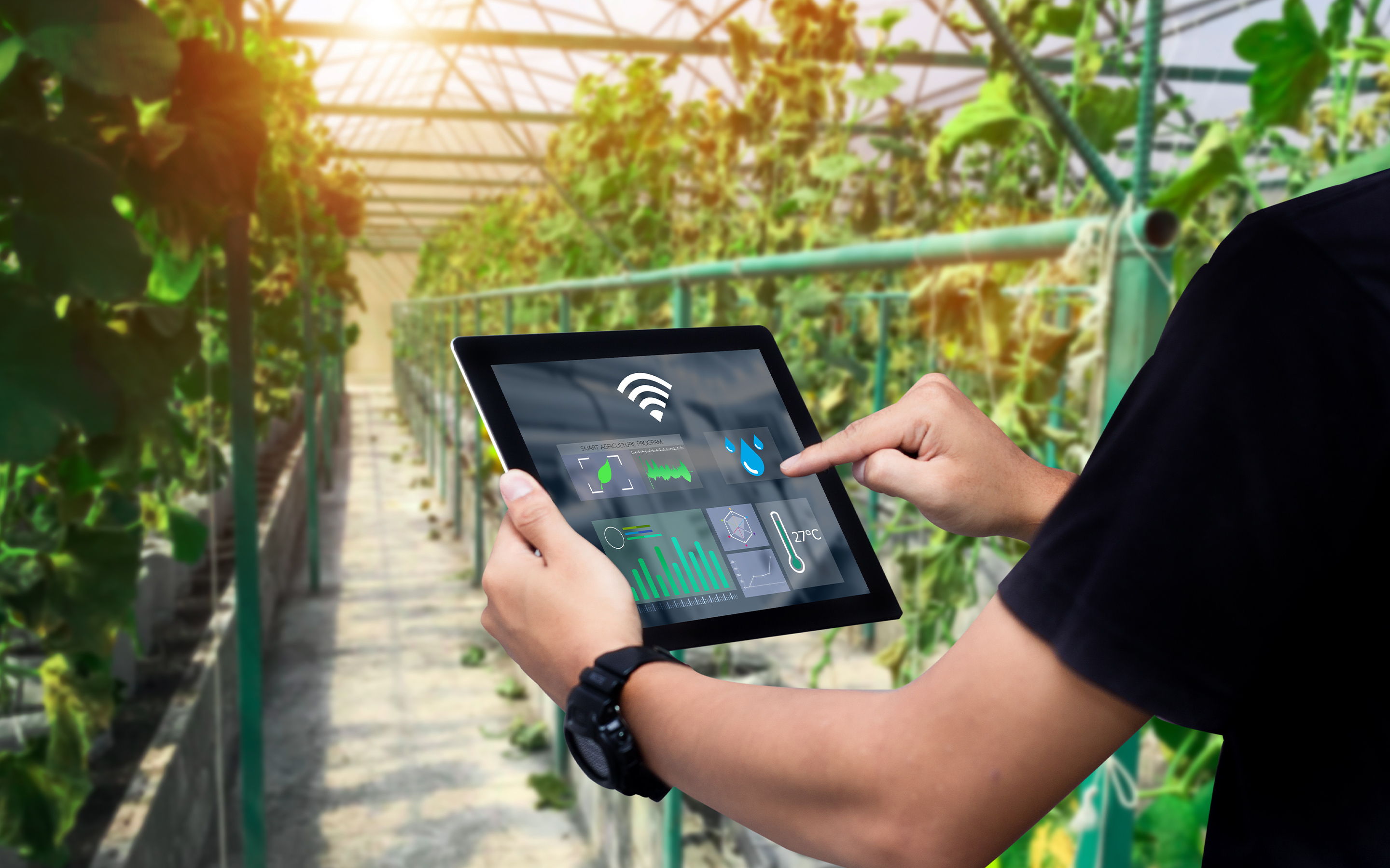 2800x1800_web banner