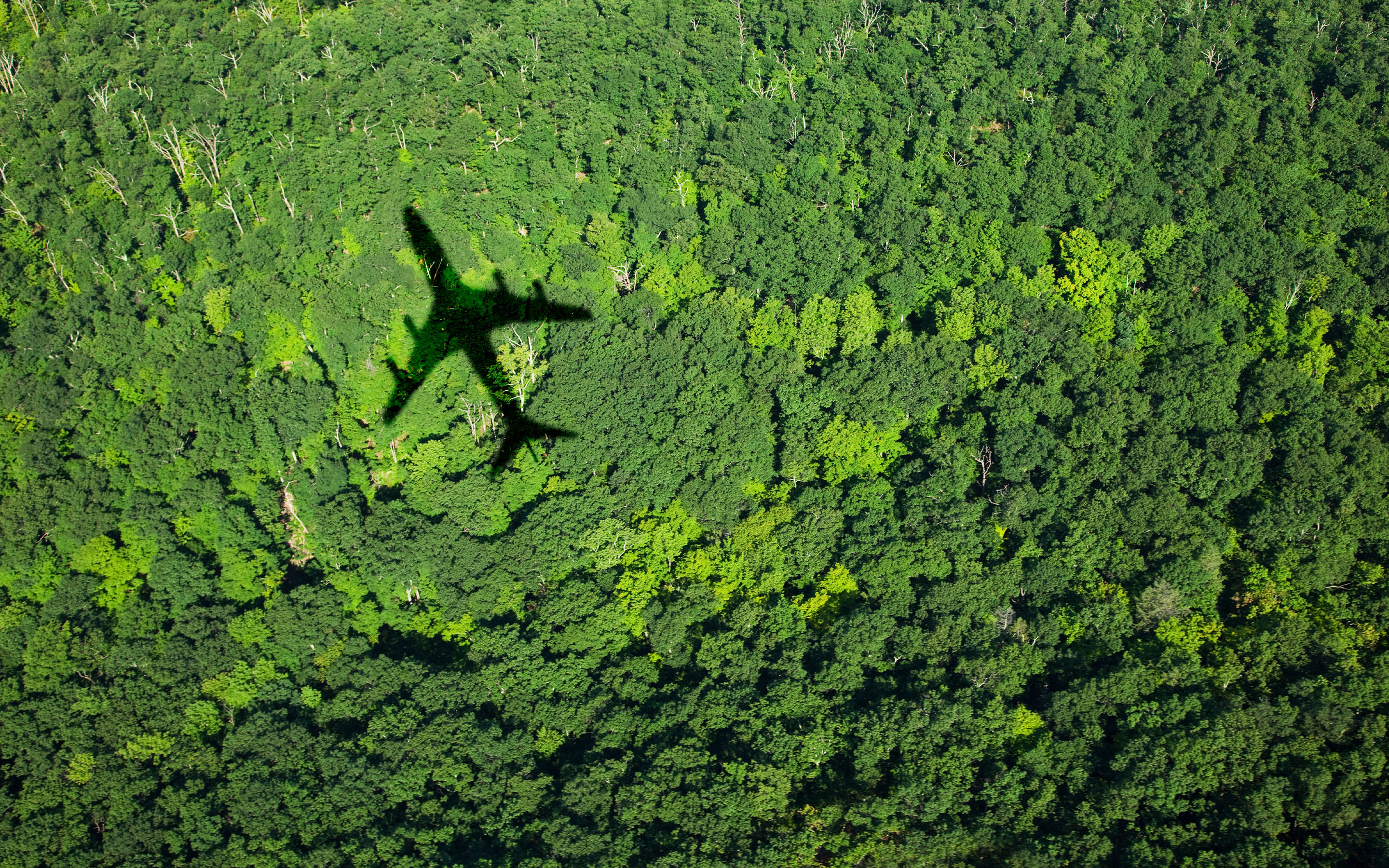 Carbon Pricing mechanisms in civil aviation banner image