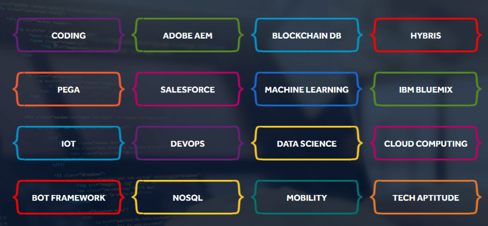 skills when applying for a job