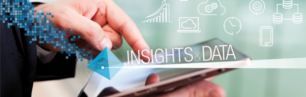 Insights & Data Strategy