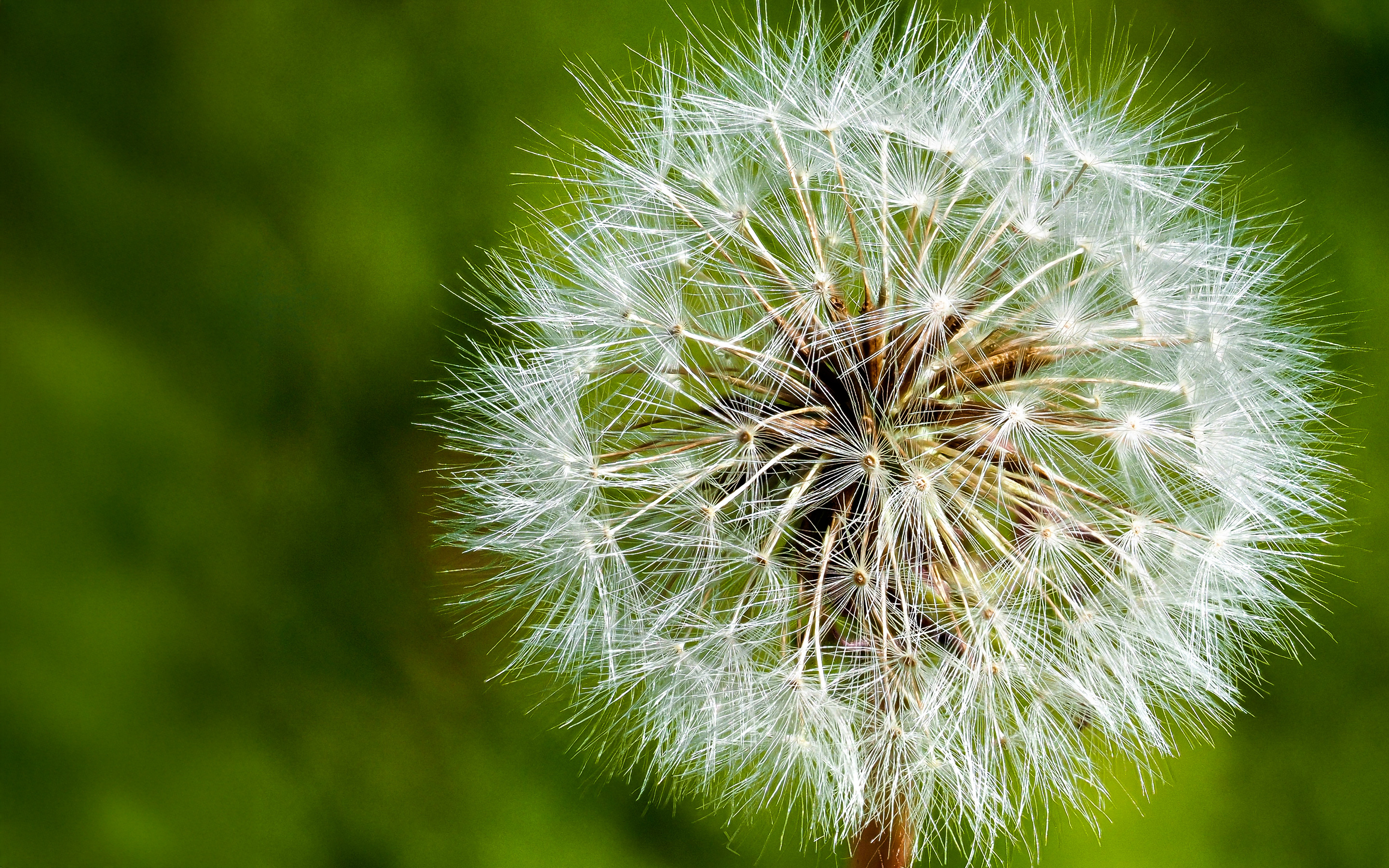 Telco Sustainability PoV