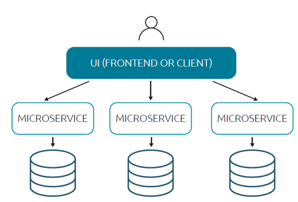 Figuur 1: Microservice-architectuur