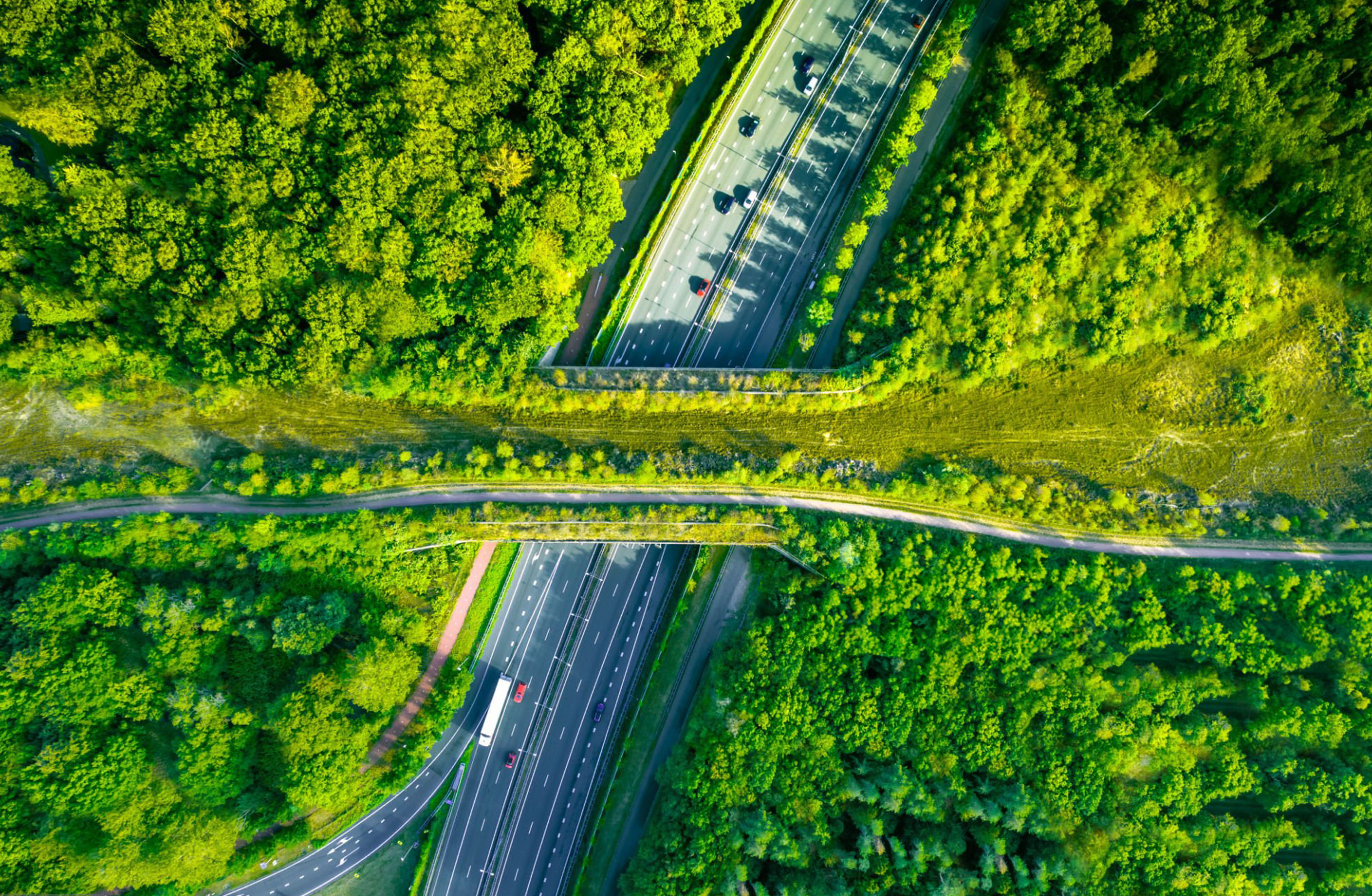 Topview van een snelweg met een natuurbrug.