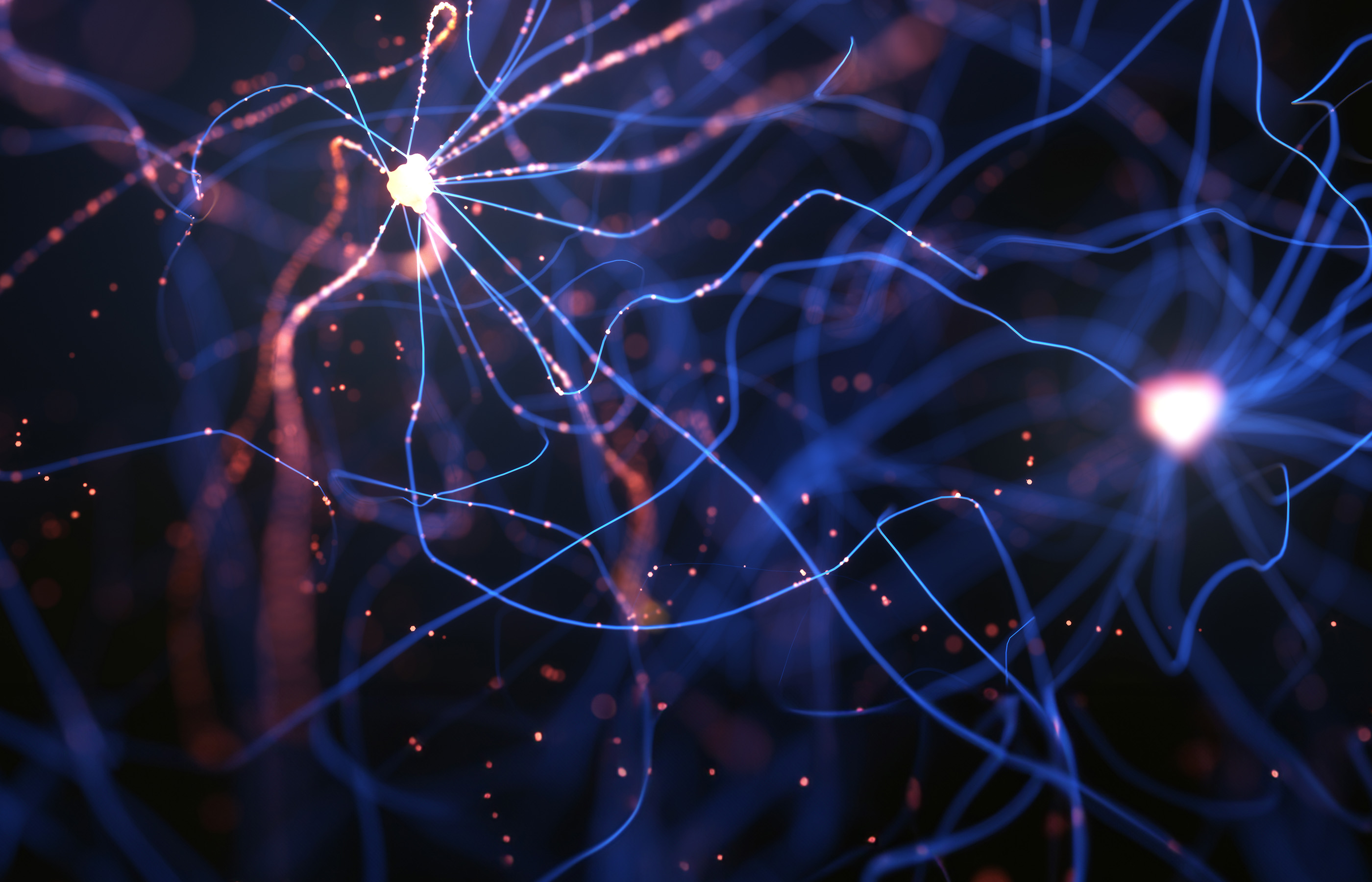 Banner photo for PoV on smart energy grids - Turning electric dreams into reality