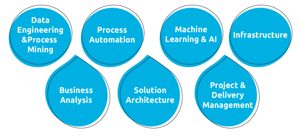 The image shows 7 parts: data engineering & Process Mining, Process Automation, Machine Learning & AI, Infrastructure, Business Analysis, Solution Architecture, Project & Delivery Management.