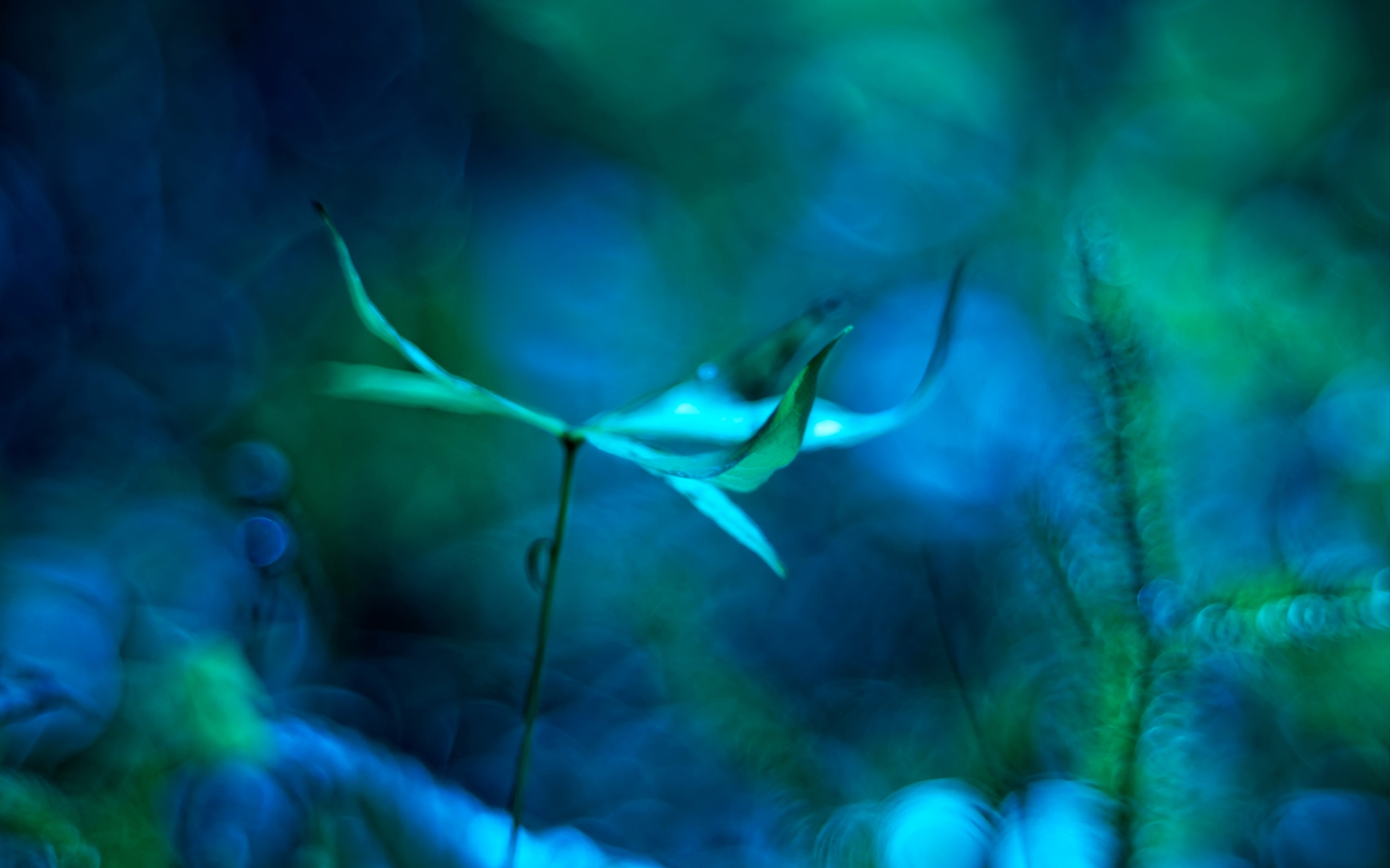 DPIR12 Web banner