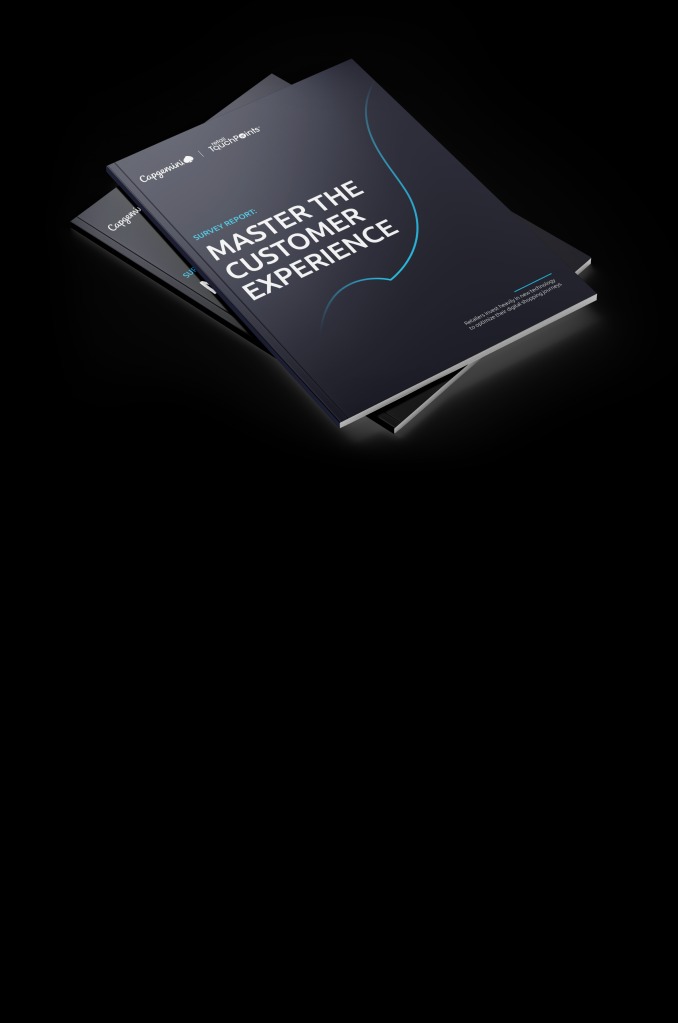 customer-experience-preview