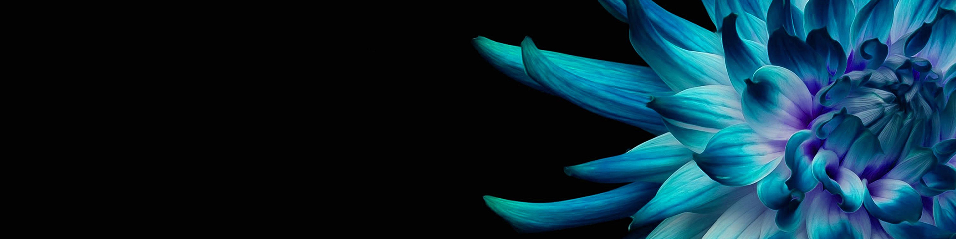 CNBC-Growth-Page-web-banner-V2