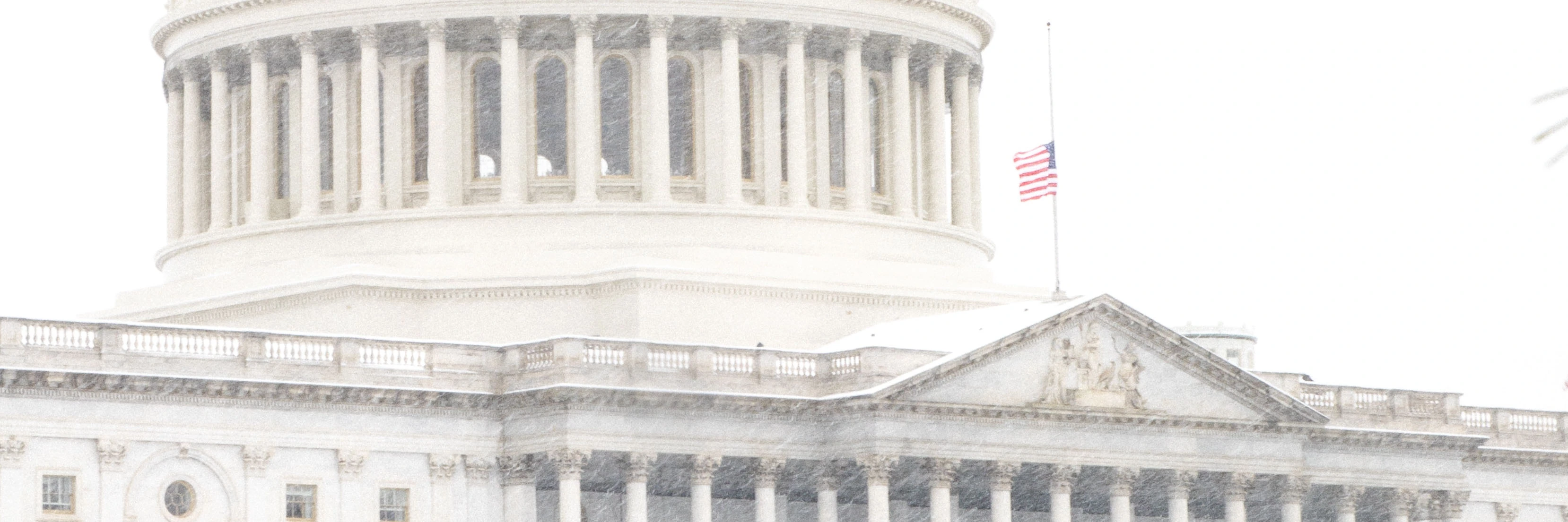 CGS market perspectives