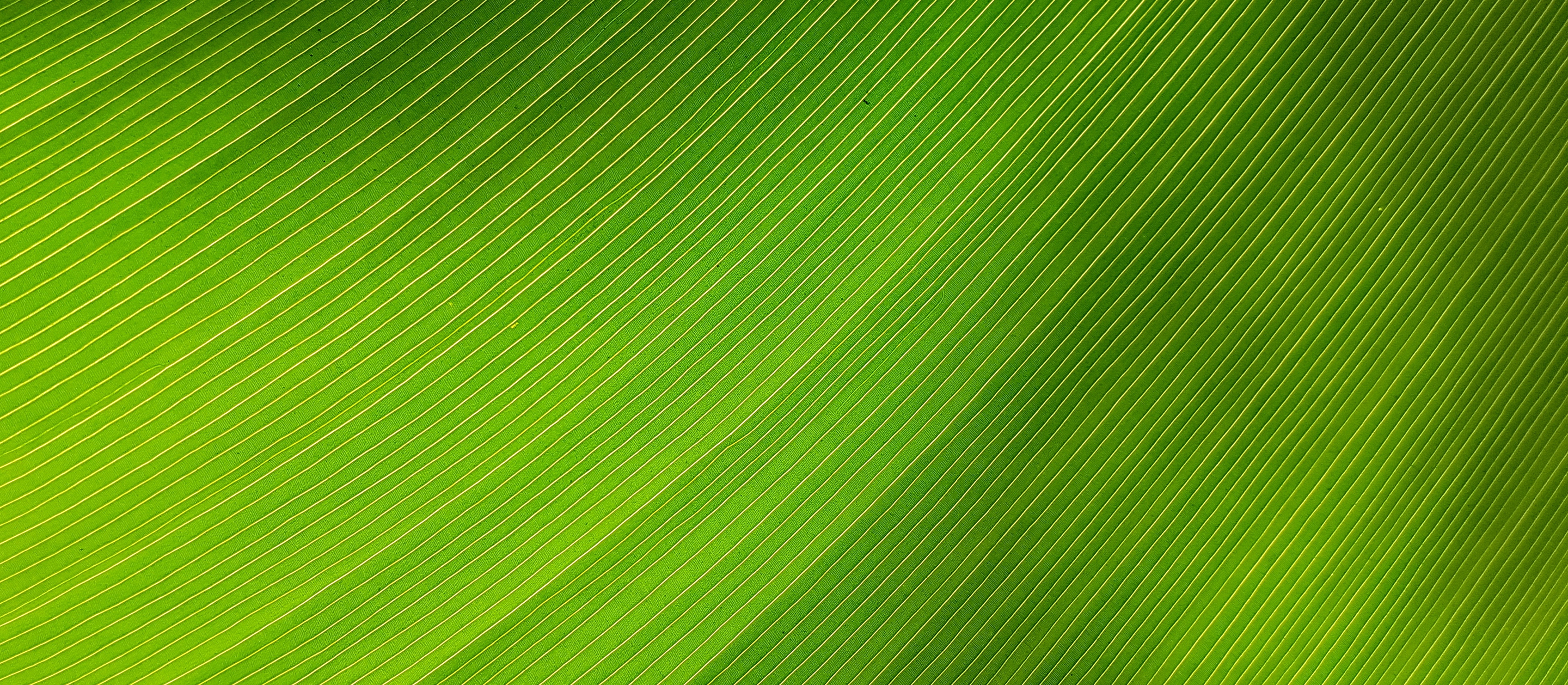 SAP BRIM conference Events