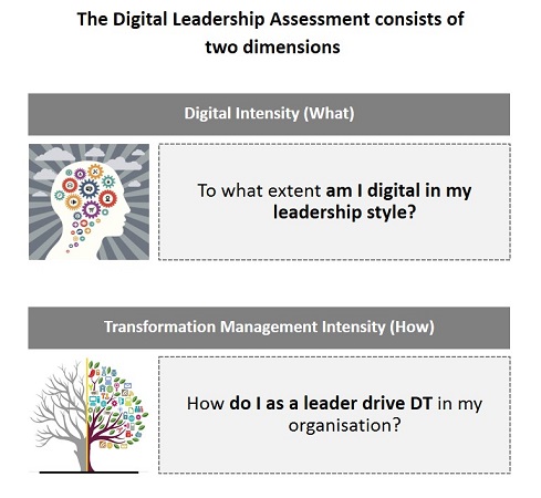 capgemini invent global leadership my management style