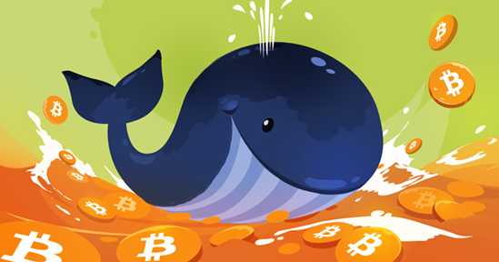 Market manipulation: whales, fish and really big waves