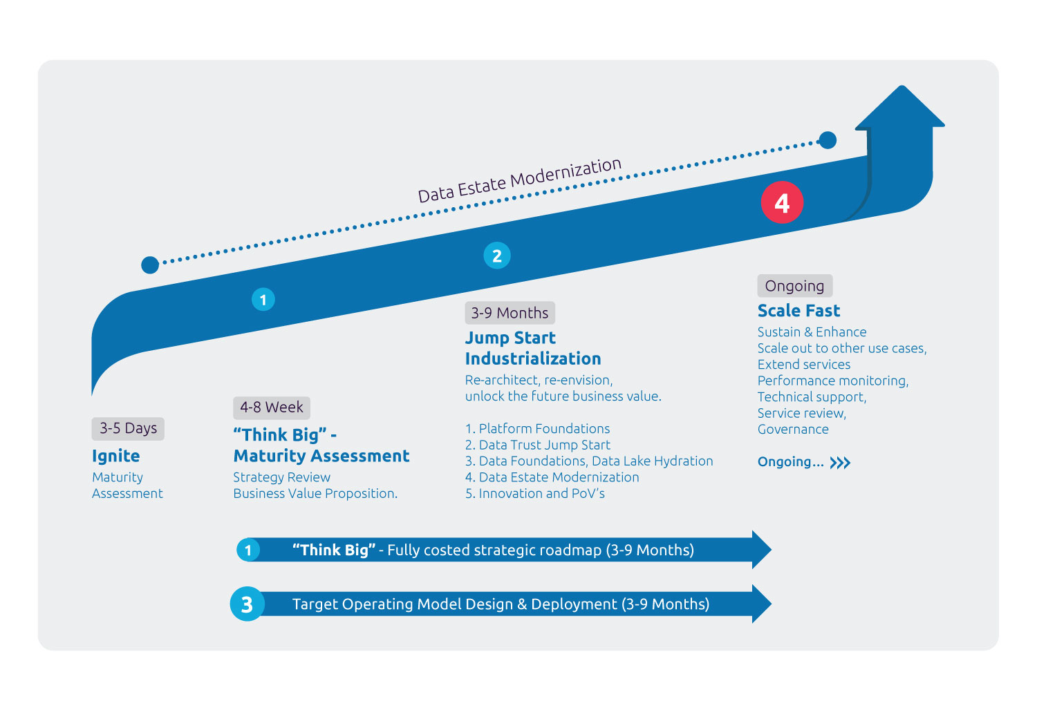 Data Intelligence, Data Management & Cloud Modernization Consulting