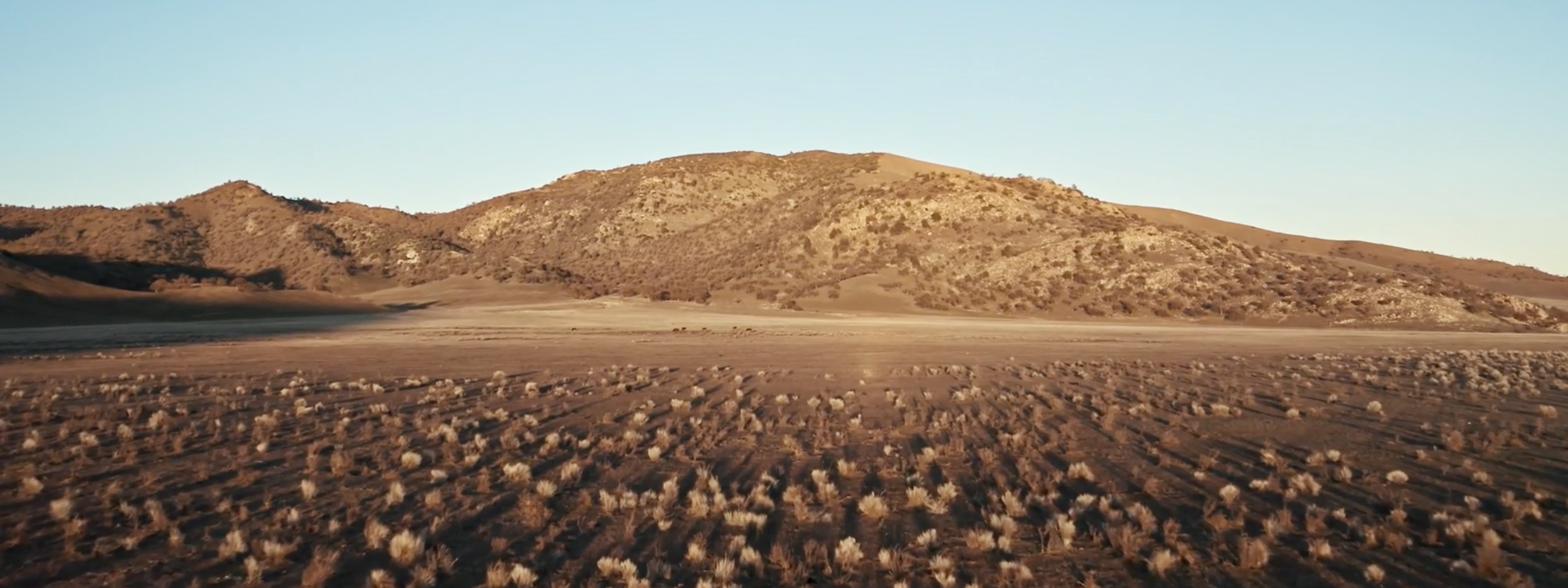 <a href="https://www.capgemini.com/news/inside-stories/mojave-desert/"></a><a href="https://www.capgemini.com/ch-en/news/inside-stories/mojave-desert/">The Mojave Desert: Data for tortoises and tires</a>