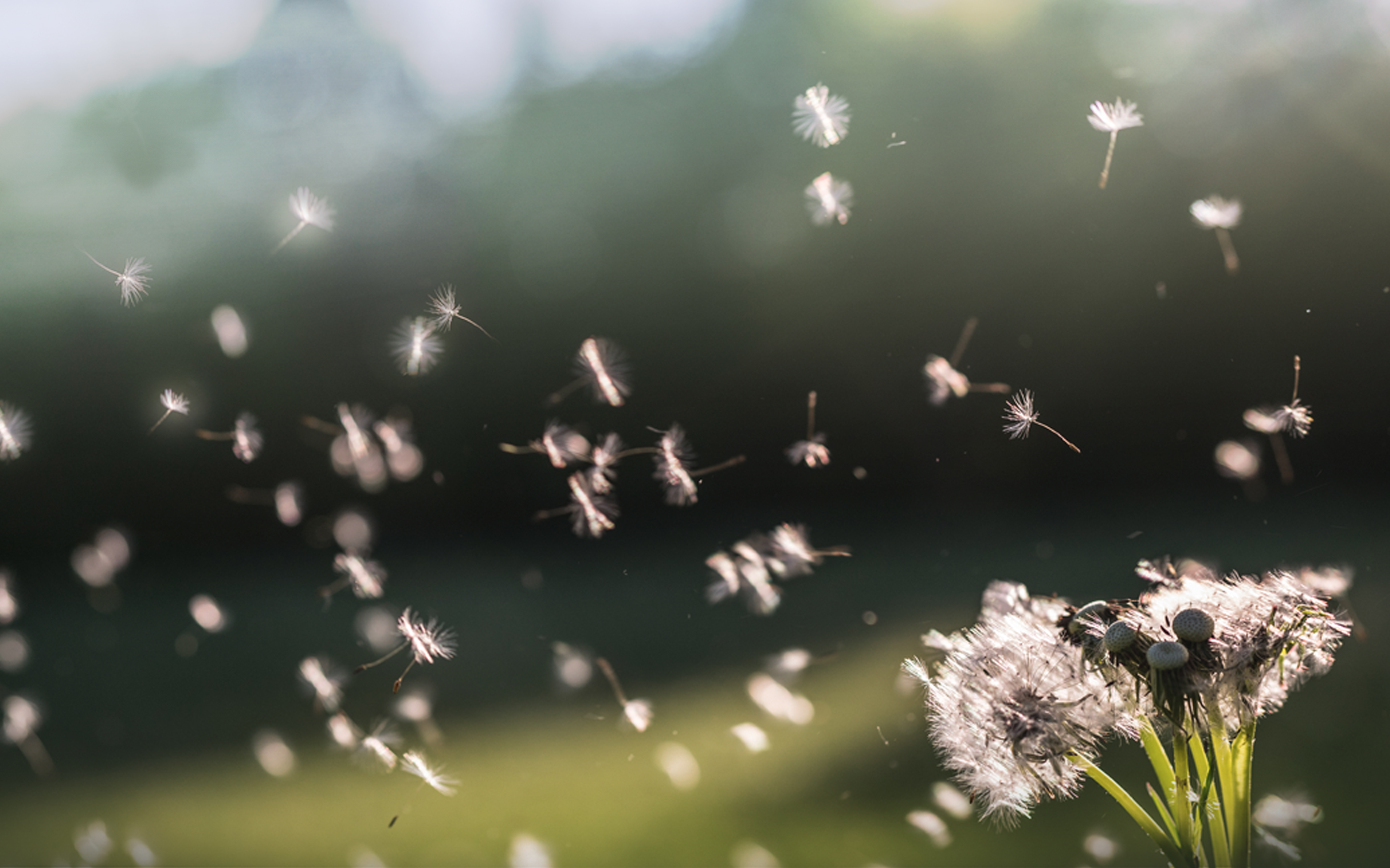 Capgemini-at-CGF_Global-Summit_2023