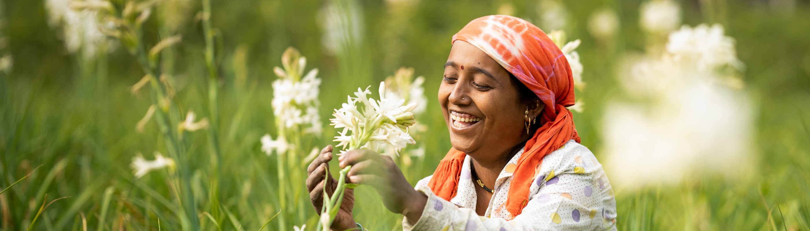 Project FARM - banner