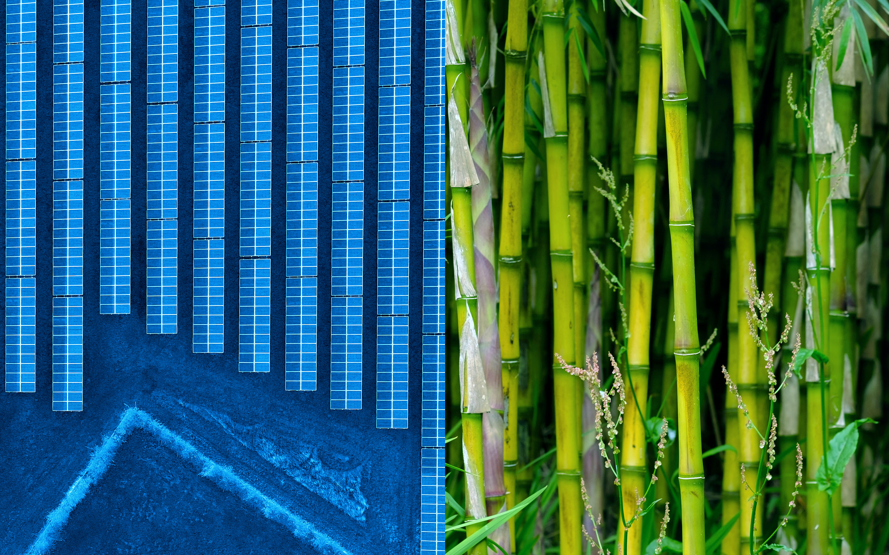 MicrosoftTeams-image (10)