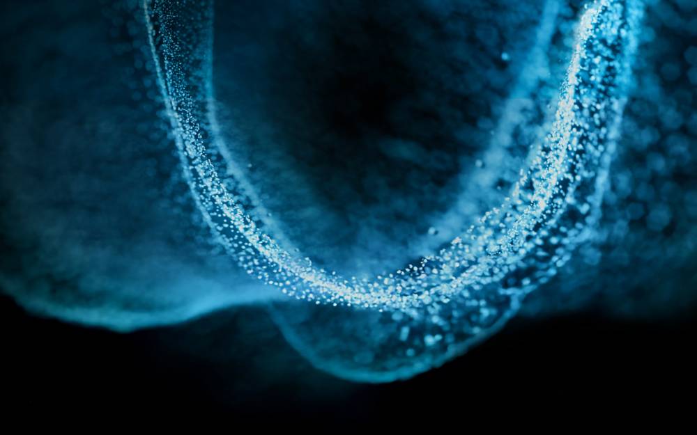 Capgemini - Investment trends