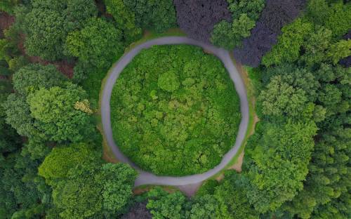 Sustainable operations and supply chain