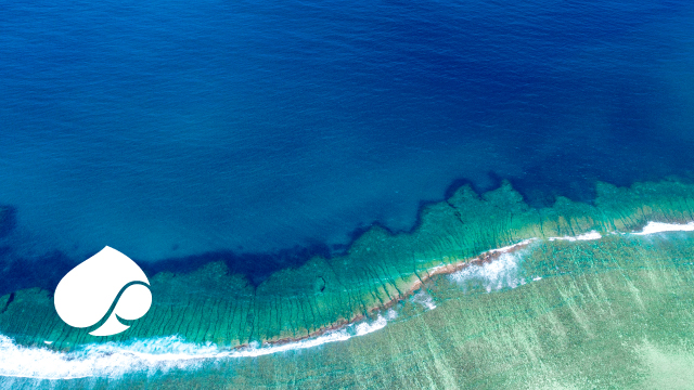 82% of organizations now plan to increase investment in environmental sustainability in the next 12-18 months as a core future-proofing strategy