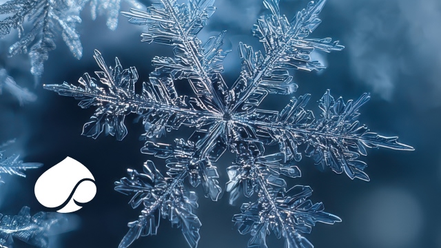 Data Powered Innovation Review Wave 11 Capgemini