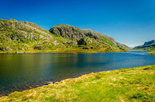 Net zero banner image