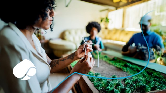 Sustainability careers for the next generation | Capgemini