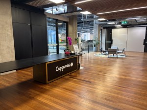 Te Whanganui-a-Tara / Wellington