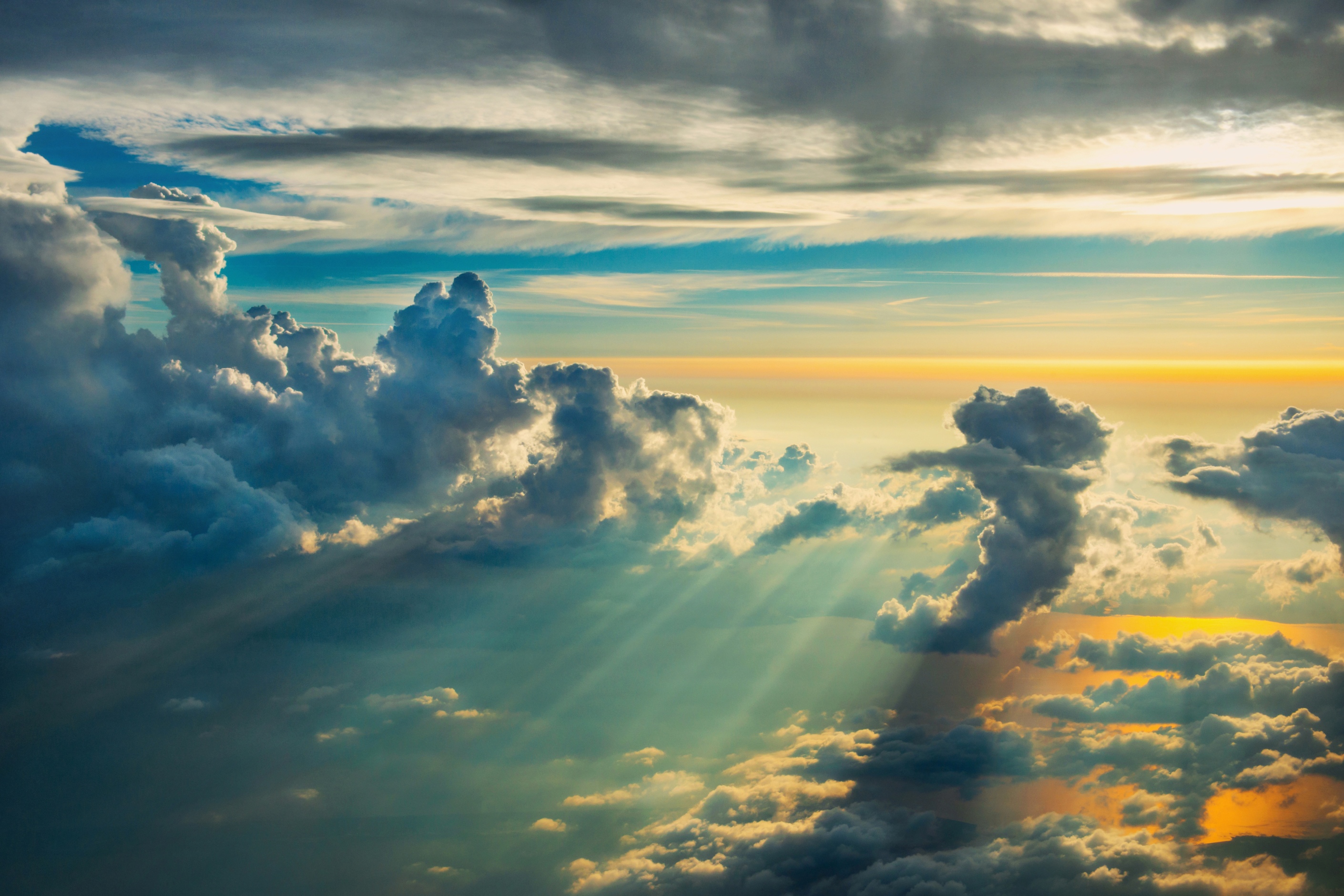 SAP Cloud ERP
