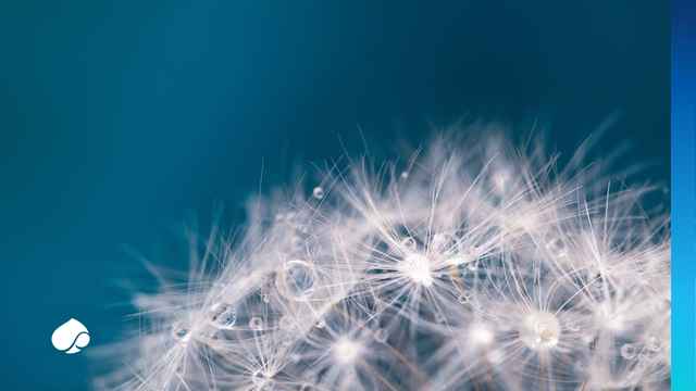 Mitigating the environmental risks of AI through better monitoring