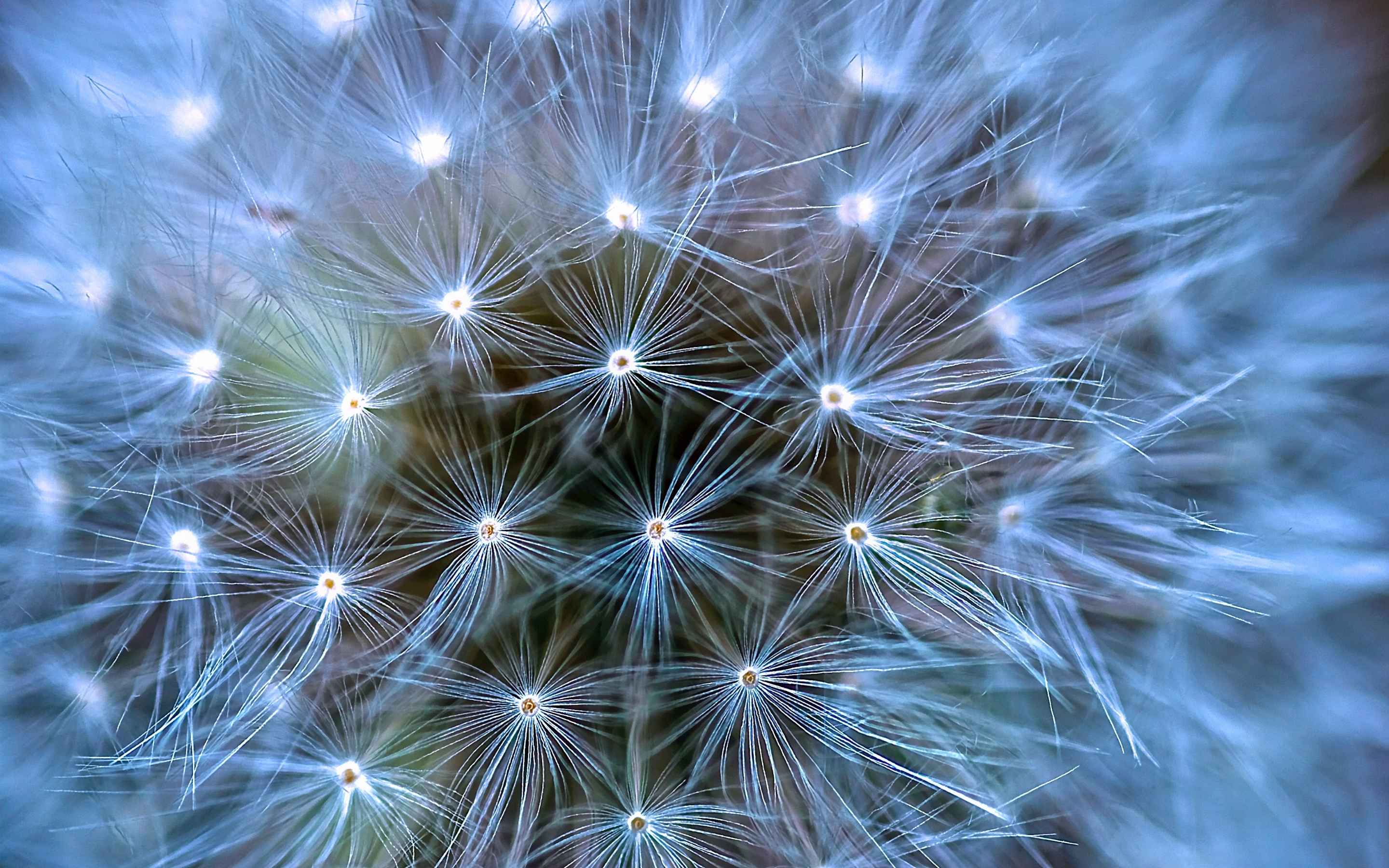 Mitigating the environmental risks of AI